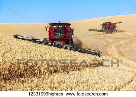 Combines Harvesting Grain In The Palouse Region Of Eastern Washington; Washington, United States Of America View Large Photo Image Stock Photograph - Combines Harvesting Grain In The Palouse Region Of Eastern Washington; Washington, United States Of America. Fotosearch