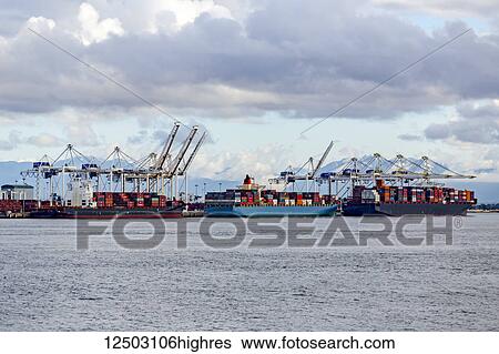 Container ships in the dock at the Delta Port outside of Vancouver; Vancouver, British Columbia, Canada View Large Photo Image Stock Photograph - Container ships in the dock at the Delta Port outside of Vancouver; Vancouver, British Columbia, Canada. Fotosearch