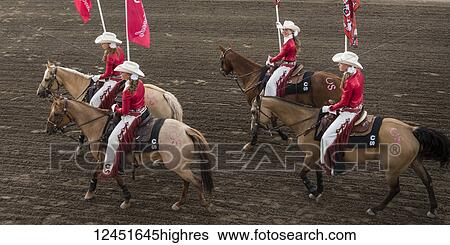 Cowgirls in red and white riding horses and carrying flags at the Calgary Stampede; Calgary, Alberta, Canada View Large Photo Image Stock Photograph - Cowgirls in red and white riding horses and carrying flags at the Calgary Stampede; Calgary, Alberta, Canada. Fotosearch