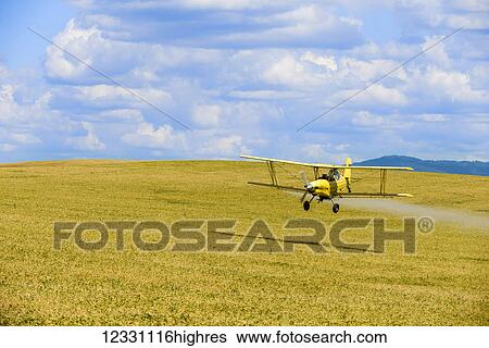 Stock Photograph - Crop Duster Spraying Herbicide On Fields Of Garbanzo Beans In The Palouse Region Of Eastern Washington; Washington, United States Of America. Fotosearch