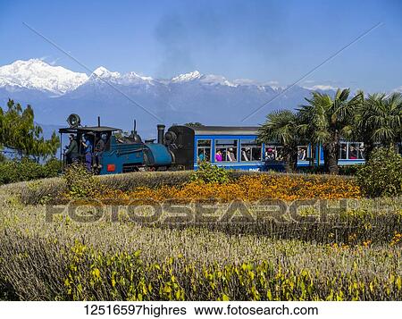 Darjeeling Toy Train, The Darjeeling Himalayan Railway; Darjeeling, West Bengal, India View Large Photo Image Stock Photograph - Darjeeling Toy Train, The Darjeeling Himalayan Railway; Darjeeling, West Bengal, India. Fotosearch