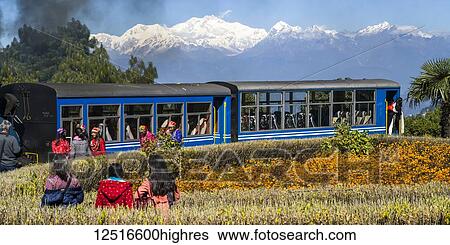 Stock Photograph - Darjeeling Toy Train, The Darjeeling Himalayan Railway; Darjeeling, West Bengal, India. Fotosearch