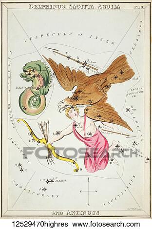 Delphinus, Sagitta, Aquila and Antinous. Card Number 13 from Urania's Mirror, or A View of the Heavens, one of a set of 32 astronomical star chart cards engraved by Sidney Hall and publshed 1824. View Large Photo Image Stock Photograph - Delphinus, Sagitta, Aquila and Antinous. Card Number 13 from Urania's Mirror, or A View of the Heavens, one of a set of 32 astronomical star chart cards engraved by Sidney Hall and publshed 1824.. Fotosearch
