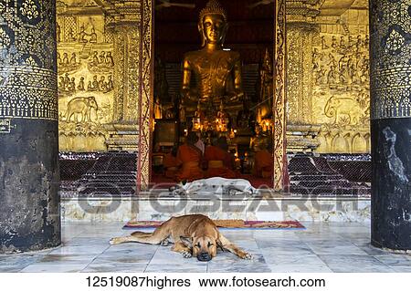 Stock Photograph - Dogs on the portico of Wat Mai; Luang Prabang, Luang Prabang, Laos. Fotosearch