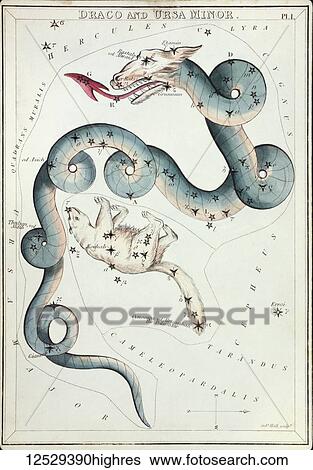 Draco and Ursa Minor. Card Number 1 from Urania's Mirror, or A View of the Heavens, one of a set of 32 astronomical star chart cards engraved by Sidney Hall and publshed 1824. View Large Photo Image Stock Photograph - Draco and Ursa Minor. Card Number 1 from Urania's Mirror, or A View of the Heavens, one of a set of 32 astronomical star chart cards engraved by Sidney Hall and publshed 1824.. Fotosearch