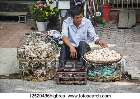 Stock Photograph - Duck and egg vendor in the Old Quarter; Hanoi, Hanoi, Vietnam. Fotosearch