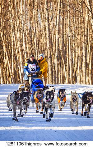 Stock Photograph - Elliot Anderson and sled dog team running through Goose Lake Park, Iditarod 2014 Ceremonial Start, South-central Alaska in winter; Anchorage, Alaska, United States of America. Fotosearch