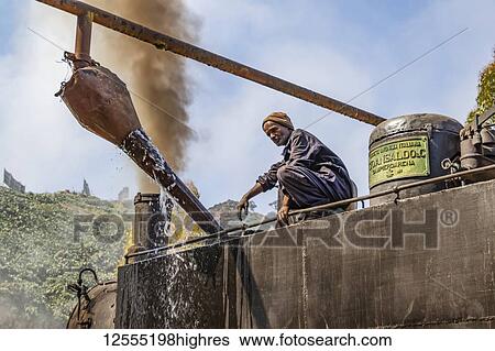 Stock Photograph - Engineer adding water to the Ansaldo 442 steam locomotive built in 1938, used for transporting cargo from the port city of Massawa to the capital Asmara; Arbaroba, Central Province, Eritrea. Fotosearch