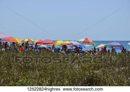 Stock Photograph - Enjoying the beach on the Gulf of Mexico, Sarasota County; Florida, United States of America. Fotosearch
