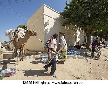Stock Photograph - Eritrean people and camel at the open air market; Keren, Anseba Region, Eritrea. Fotosearch