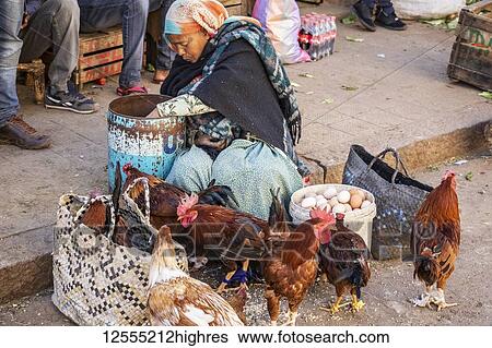 Stock Photograph - Eritrean woman selling chickens at the Mercato of the indigenous people; Asmara, Central Region, Eritrea. Fotosearch