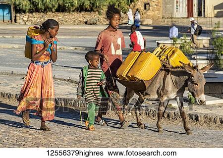 Ethiopian children with a donkey carrying water canisters; Axum, Tigray Region, Ethiopia View Large Photo Image Stock Photograph - Ethiopian children with a donkey carrying water canisters; Axum, Tigray Region, Ethiopia. Fotosearch