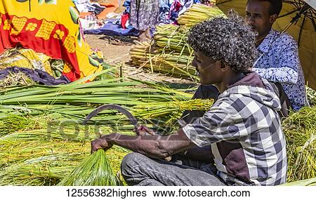 Stock Photograph - Ethiopian man selling grass at the market; Bahir Dar, Amhara Region, Ethiopia. Fotosearch