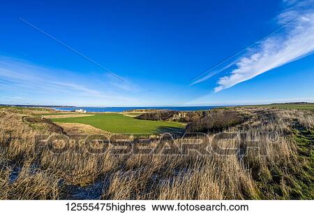 Stock Photograph - Fields of grass, River Tyne and blue sky; South Shields, Tyne and Wear, England. Fotosearch