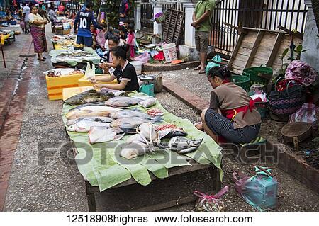 Stock Photograph - Fish mongers at the morning market; Luang Prabang, Luang Prabang, Laos. Fotosearch