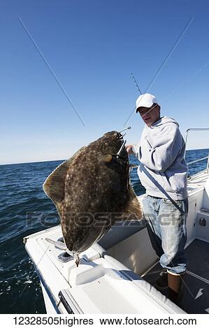 Stock Photograph - Fisherman posing with his halibut catch, Kachemak Bay, South-central Alaska; Homer, Alaska, United States of America. Fotosearch
