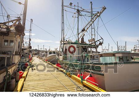 Fishing boats docked in a harbour along a wooden dock on the Atlantic coast; Newfoundland, Canada View Large Photo Image Stock Photograph - Fishing boats docked in a harbour along a wooden dock on the Atlantic coast; Newfoundland, Canada. Fotosearch