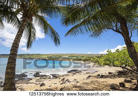Four Seasons Resort overlooking the golden beach and palm trees at Hulopo'e Beach Park; Lanai, Hawaii, United States of America View Large Photo Image Stock Photograph - Four Seasons Resort overlooking the golden beach and palm trees at Hulopo'e Beach Park; Lanai, Hawaii, United States of America. Fotosearch