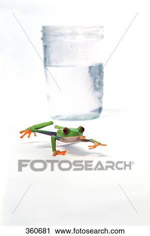 Stock Image - Frog leaping away from glass of water. Fotosearch