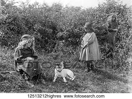 Stock Photograph - Glass Negative circa 1900. Victorian. Social History. Three children ( girls ) playing in the bushes with their dog. Fotosearch