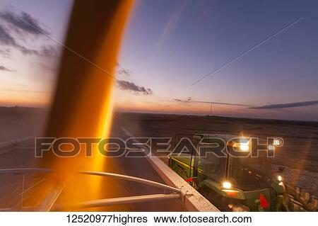 Stock Photograph - Grain wagon unloading corn into grain truck at twilight, near Nerstrand; Minnesota, United States of America. Fotosearch