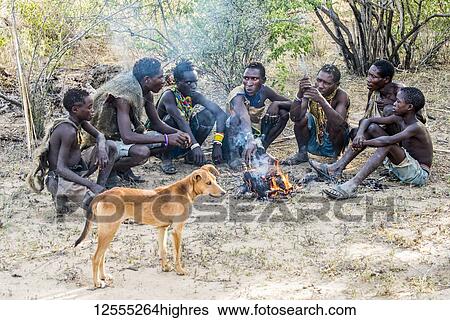 Hadzabe hunters and their dog gather around a campfire after a successful morning hunt near Lake Eyasi; Tanzania View Large Photo Image Stock Photograph - Hadzabe hunters and their dog gather around a campfire after a successful morning hunt near Lake Eyasi; Tanzania. Fotosearch