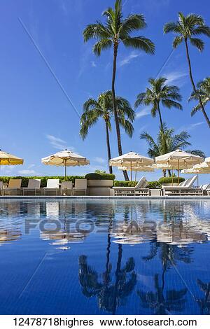 Halekalani Pool at Waikiki with palm trees and umbrellas reflected in the water; Honolulu, Oahu, Hawaii, United States of America View Large Photo Image Stock Photograph - Halekalani Pool at Waikiki with palm trees and umbrellas reflected in the water; Honolulu, Oahu, Hawaii, United States of America. Fotosearch