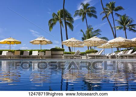 Halekalani Pool at Waikiki with palm trees and umbrellas reflected in the water; Waikiki, Oahu, Hawaii, United States of America View Large Photo Image Stock Photograph - Halekalani Pool at Waikiki with palm trees and umbrellas reflected in the water; Waikiki, Oahu, Hawaii, United States of America. Fotosearch