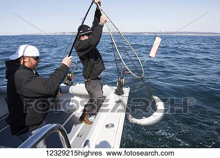 Stock Photograph - Halibut fishermen in Kachemak Bay, South-central Alaska, USA. Fotosearch