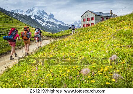 Stock Photograph - Hikers walking on Col de Balme in wildflower meadow with Mount Blanc Range and Refuge du Col de Balme in the background, Alps, Swiss-French border; France. Fotosearch