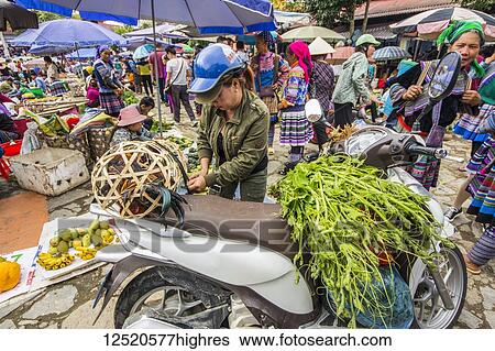Stock Photograph - Hmong woman loading her motorcycle at the Sunday market; Bac Ha, Lao Cai, Vietnam. Fotosearch