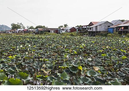 Stock Photograph - Houses on stilts by the Siem Reap River; Russei Luk, Siem Reap, Cambodia. Fotosearch