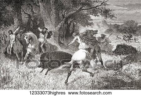 Stock Photograph - Hunting boar and other animals during the Iron Age. From L'Homme Primitif, published 1870.. Fotosearch