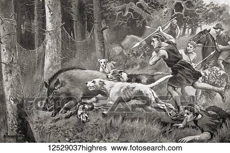 Hunting wild boar in ancient Rome. From Hutchinson's History of the Nations, published 1915. View Large Photo Image Stock Photograph - Hunting wild boar in ancient Rome. From Hutchinson's History of the Nations, published 1915.. Fotosearch