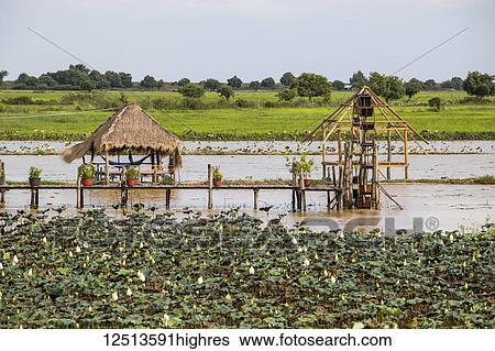 Stock Photograph - Huts on the Siem Reap River; Russei Luk, Siem Reap, Cambodia. Fotosearch