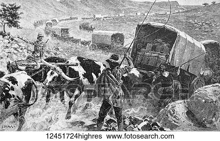 Illustrated London News record of Transvall War 1899-1900. The chievements of the home and colonial forces in the great conflict with the Boer Republics. Spencer Wilkinson record. Ox transport in Natal View Large Photo Image Stock Photograph - Illustrated London News record of Transvall War 1899-1900. The chievements of the home and colonial forces in the great conflict with the Boer Republics. Spencer Wilkinson record. Ox transport in Natal. Fotosearch