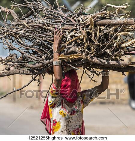 Indian woman with covered face carries a large bundle of branches on her head; Kishan Ghjat, Rajasthan, India View Large Photo Image Stock Photograph - Indian woman with covered face carries a large bundle of branches on her head; Kishan Ghjat, Rajasthan, India. Fotosearch