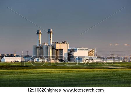 Large electrical generation plant at sunrise with blue sky and green grain field in the foreground, East of Calgary; Alberta, Canada View Large Photo Image Stock Photograph - Large electrical generation plant at sunrise with blue sky and green grain field in the foreground, East of Calgary; Alberta, Canada. Fotosearch