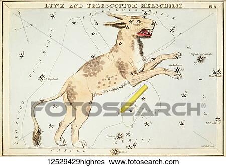 Stock Photograph - Lynx and Telescopium Herschilii. Card Number 18 from Urania's Mirror, or A View of the Heavens, one of a set of 32 astronomical star chart cards engraved by Sidney Hall and publshed 1824.. Fotosearch