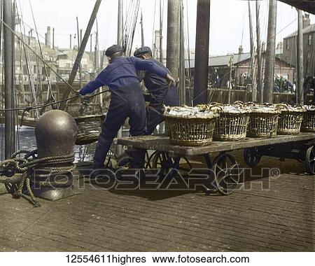 Stock Photograph - Magic lantern slide circa 1880, Victorian/Edwardian Social History. Two fishermen hauling herring fish off their boat at North Shields Fish Quay; North Shields, Tyne and Wear, England. Fotosearch
