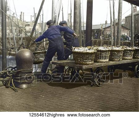 Stock Photograph - Magic lantern slide circa 1880, Victorian/Edwardian Social History. Two fishermen hauling herring fish off their boat at North Shields Fish Quay; North Shields, Tyne and Wear, England. Fotosearch
