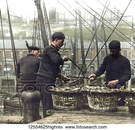 Magic lantern slide circa 1880., Victorian/Edwardian Social History. A picture of fishermen unloading herring at North Shields Fish Quay; North Shields, Tyne and Wear, England View Large Photo Image Stock Photograph - Magic lantern slide circa 1880., Victorian/Edwardian Social History. A picture of fishermen unloading herring at North Shields Fish Quay; North Shields, Tyne and Wear, England. Fotosearch