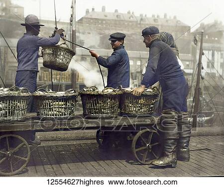 Stock Photograph - Magic lantern slide circa 1880., Victorian/Edwardian Social History. Landing Herring at North Shields Fish Quay. Three fishermen with baskets and crane unloading herring from the ship and stacking on a trolley cart; North Shields, Tyne and Wear, England. Fotosearch