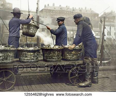 Magic lantern slide circa 1880., Victorian/Edwardian Social History. Landing Herring at North Shields Fish Quay. Three fishermen with baskets and crane unloading herring from the ship and stacking on a trolley cart; North Shields, Tyne and Wear, England View Large Photo Image Stock Photograph - Magic lantern slide circa 1880., Victorian/Edwardian Social History. Landing Herring at North Shields Fish Quay. Three fishermen with baskets and crane unloading herring from the ship and stacking on a trolley cart; North Shields, Tyne and Wear, England. Fotosearch