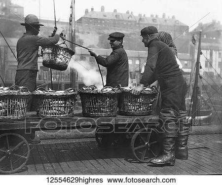 Magic lantern slide circa 1880., Victorian/Edwardian Social History. Landing Herring at North Shields Fish Quay. Three fishermen with baskets and crane unloading herring from the ship and stacking on a trolley cart; North Shields, Tyne and Wear, England View Large Photo Image Stock Photograph - Magic lantern slide circa 1880., Victorian/Edwardian Social History. Landing Herring at North Shields Fish Quay. Three fishermen with baskets and crane unloading herring from the ship and stacking on a trolley cart; North Shields, Tyne and Wear, England. Fotosearch