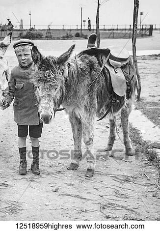 Stock Photograph - Magic lantern slide circa 1900. Victorian/Edwardian. Social History.. Young boy with donkeys on the beach. Fotosearch