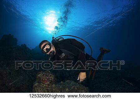 Male diver with sun over ocean surface; Island of Hawaii, Hawaii, United States of America View Large Photo Image Stock Photograph - Male diver with sun over ocean surface; Island of Hawaii, Hawaii, United States of America. Fotosearch