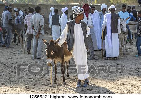 Stock Photograph - Man and his donkey at the Monday livestock market; Keren, Anseba Region, Eritrea. Fotosearch