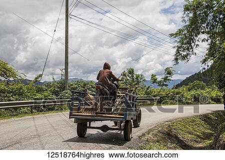 Stock Photograph - Man driving a tractor carrying a motorcycle near Muang Kham; Xiangkhouang, Laos. Fotosearch