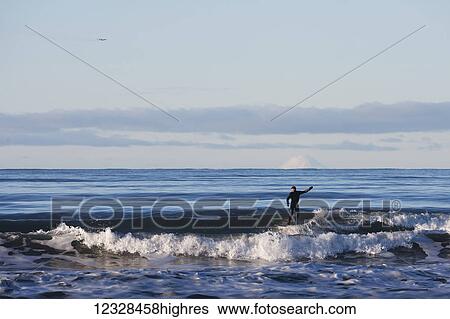 Stock Photograph - Man surfing in Kachemak Bay, South-central Alaska; Homer Spit, Alaska, United States of America. Fotosearch